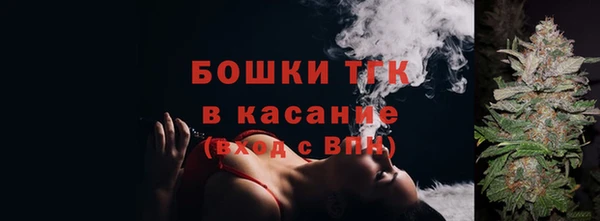 хмурый Верея