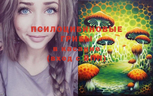 дмт Богородск