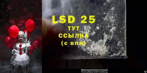 хмурый Верея