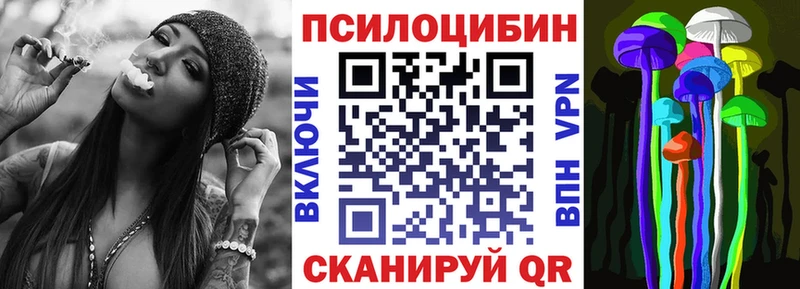 наркошоп  маркетплейс Telegram  Псилоцибиновые грибы GOLDEN TEACHER  Дигора 