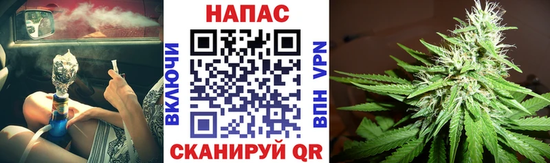 Канабис Amnesia Дигора